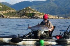 Angeln von Bernsteinmakrelen