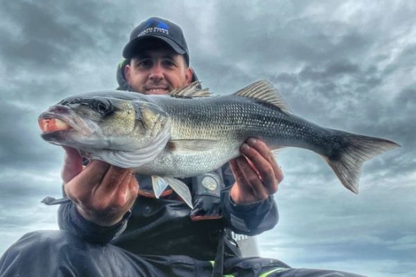 Wolfsbarschangeln: Wie gelingt der Saisonstart vom Boot aus?