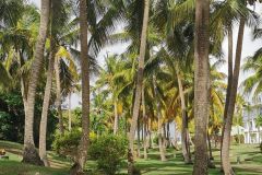 Auf den Antillen angeln gehen