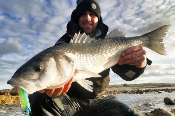 Das Cap de la Hague ist ein hervorragendes Gebiet, um vom Ufer aus zu fischen.