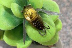 Das Nano-Siglett ist 2,4 cm gro�.