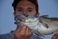 In gro�en Tiefen fischen