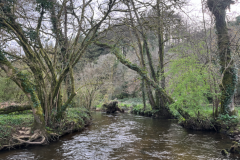 Eine schnelle Session, die mit h�bschen, aktiven Forellen Spa� macht.