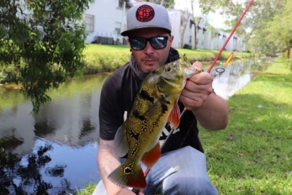 Street fishing in Miami: Strategie, Erkundung und Beobachtung