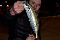 Nachts auf Seeverfisch fischen