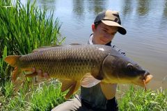 Karpfenangeln im Herbst