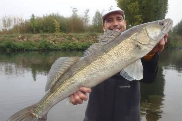 Angeln auf Zander im Fluss