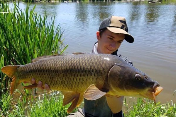 Karpfenangeln vom Ufer aus