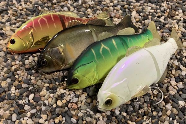 Der Illex-Gantarel kehrt zur�ck!