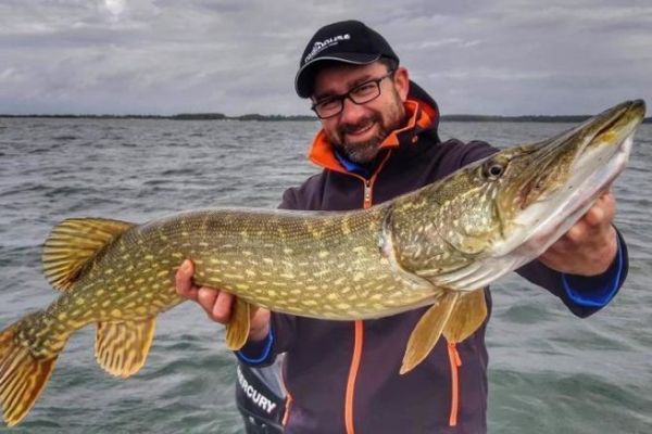 Angeln auf Hecht mit Bigbaits