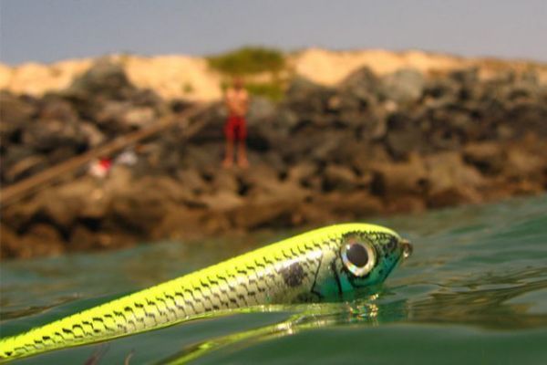 Der Stickbait, ein harter Oberflchenkder