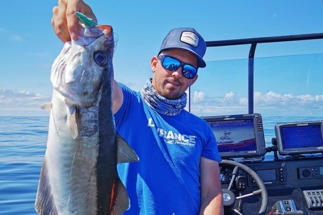 Das Echolot ist eine wertvolle Hilfe. Sie müssen es nur richtig analysieren, um das Beste aus ihm herauszuholen. Ein bisschen Übung