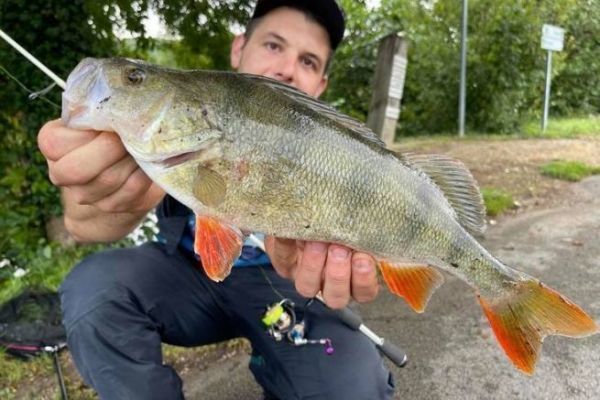 Fischen in Downsizing