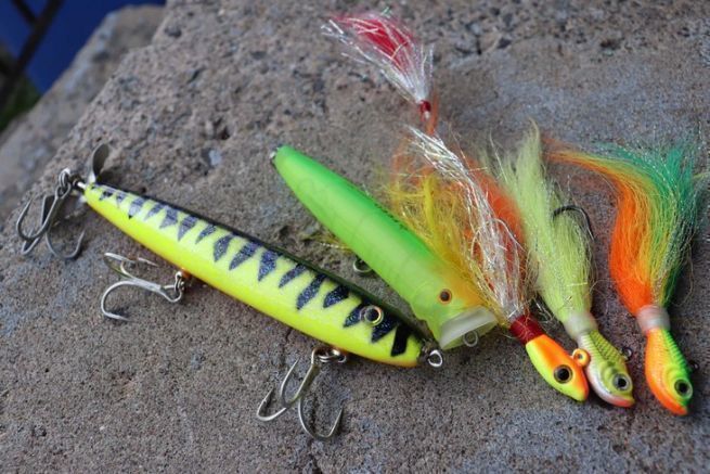Die grundlegenden Kder zum Angeln auf Peacock Bass.