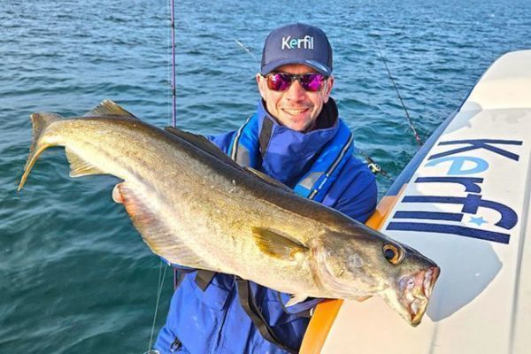 Seelachs beim Slow-Jigging gefangen