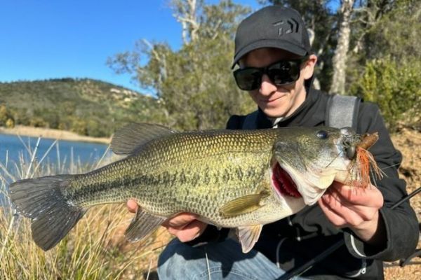 Angeln auf Blackbass beim Flippen mit Rubber Jigs