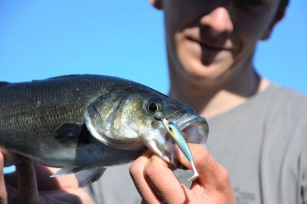 Angeln mit Rockfishing