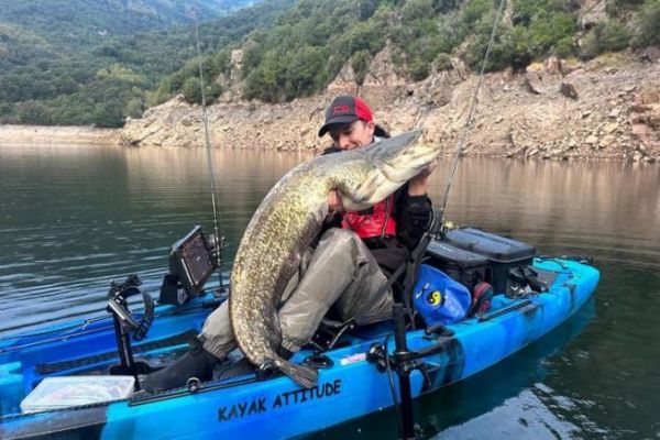 Mit dem Wurm auf Wels angeln
