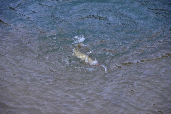 Mit dem Angeln im Winter beginnen