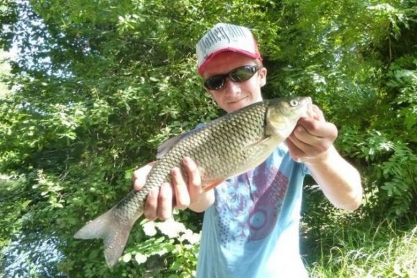 Angeln auf Döbel mit Ködern