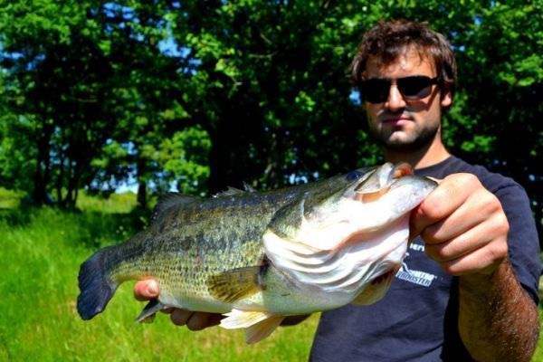 Im Sommer an der Oberflche fischen