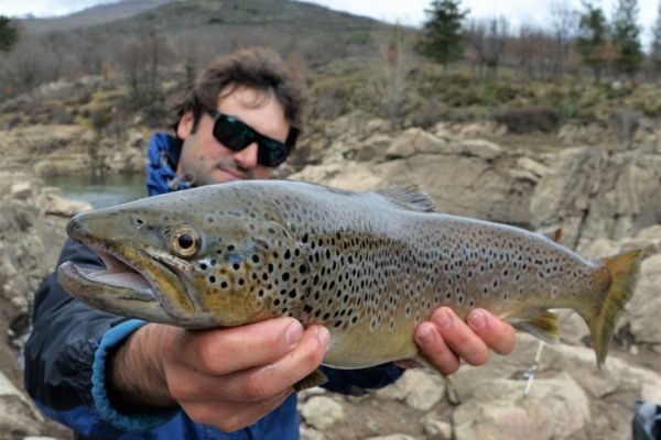 Das richtige Fotoobjektiv w�hlen