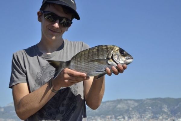 Angeln auf Sar mit Surfcasting