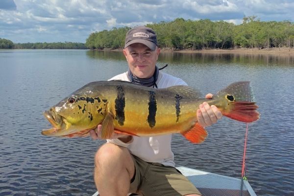 Verrckter Peacock-Bass
