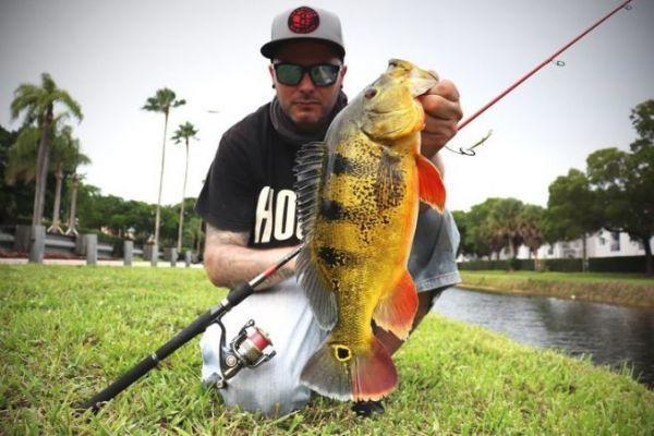 Das Streetfishing in Miami ist nicht von dieser Welt!