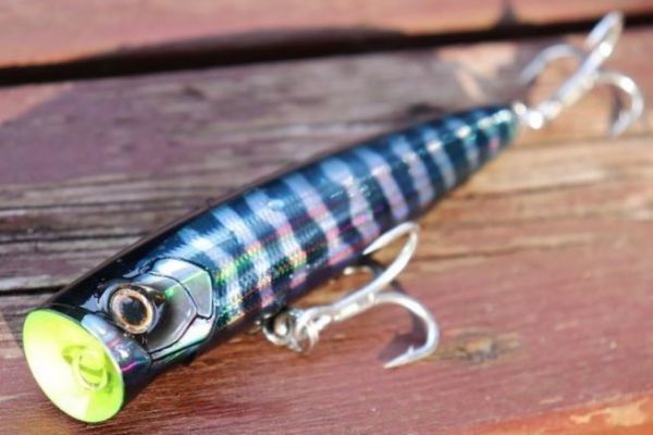 Der Bungy Popper 160 ist fr seine Gre sehr stabil!