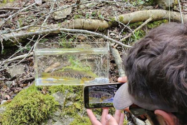 Ein Nano-Aquarium beim Angeln verwenden