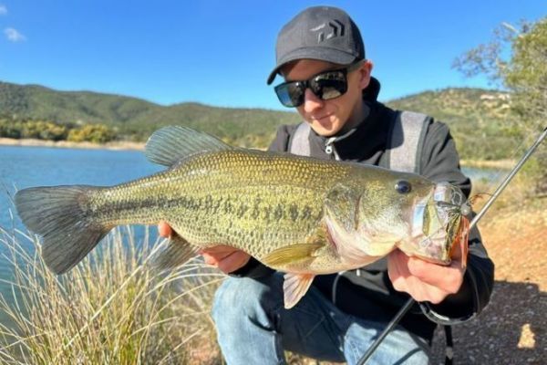Blackbass am Ende des Winters