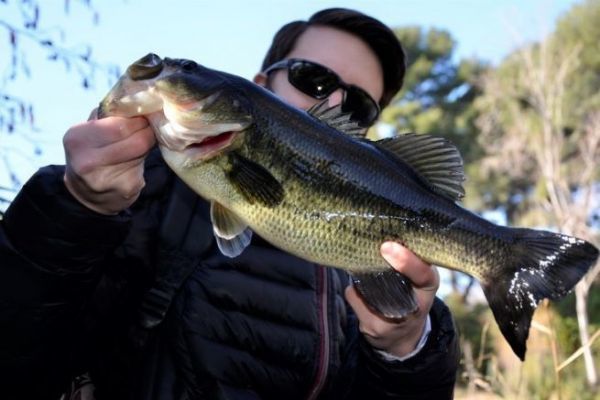 Angeln auf Blackbass im Winter