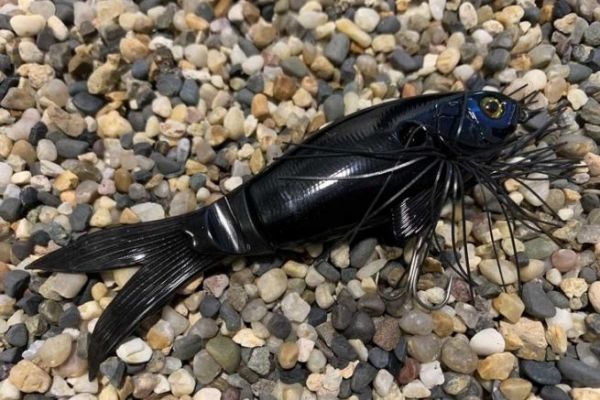 Jackall innoviert mit dem Slick bait!