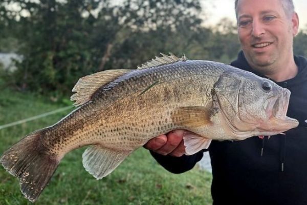 Angeln auf Blackbass