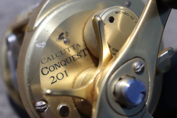 Die Calcutta-Rolle ist sehr robust!