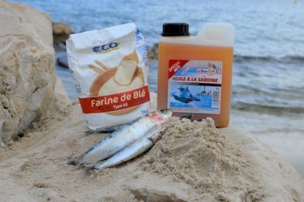 Welcher K�der f�r welche Art?