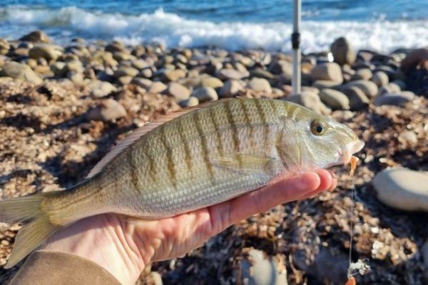 Angeln mit Untersttzung von der Kante aus