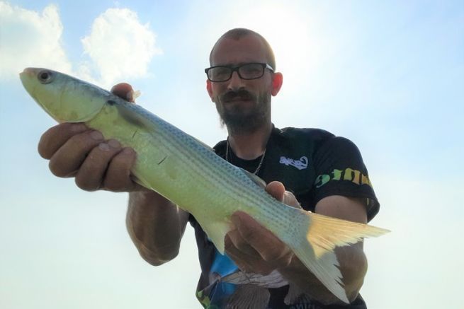 Das Angeln vor den Hfen bietet hbsche Fische