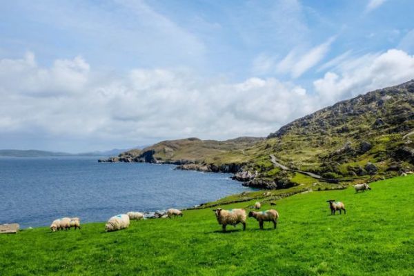 Irland ist ein Traumziel fr Angelfreunde