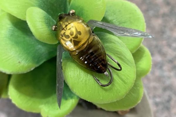 Das Nano-Siglett ist 2,4 cm groß.