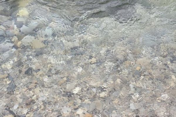 Flsse wiederherstellen