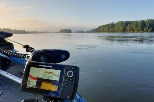 Auswirkungen von Elektronik auf die Fischerei