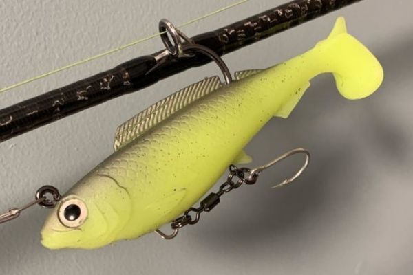 Der HerculeZ ist solide!