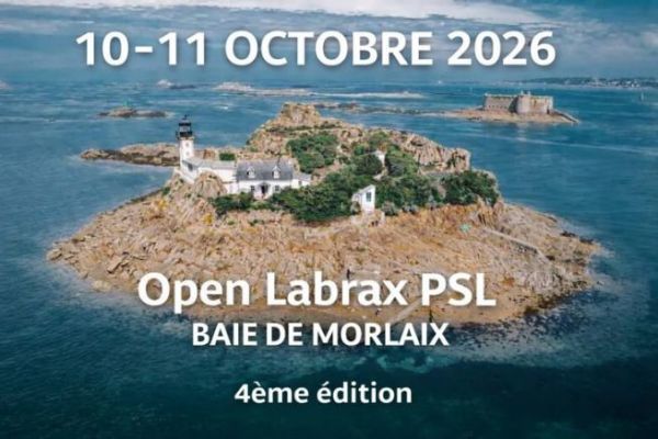 Kurs auf die Ausgabe 2026!